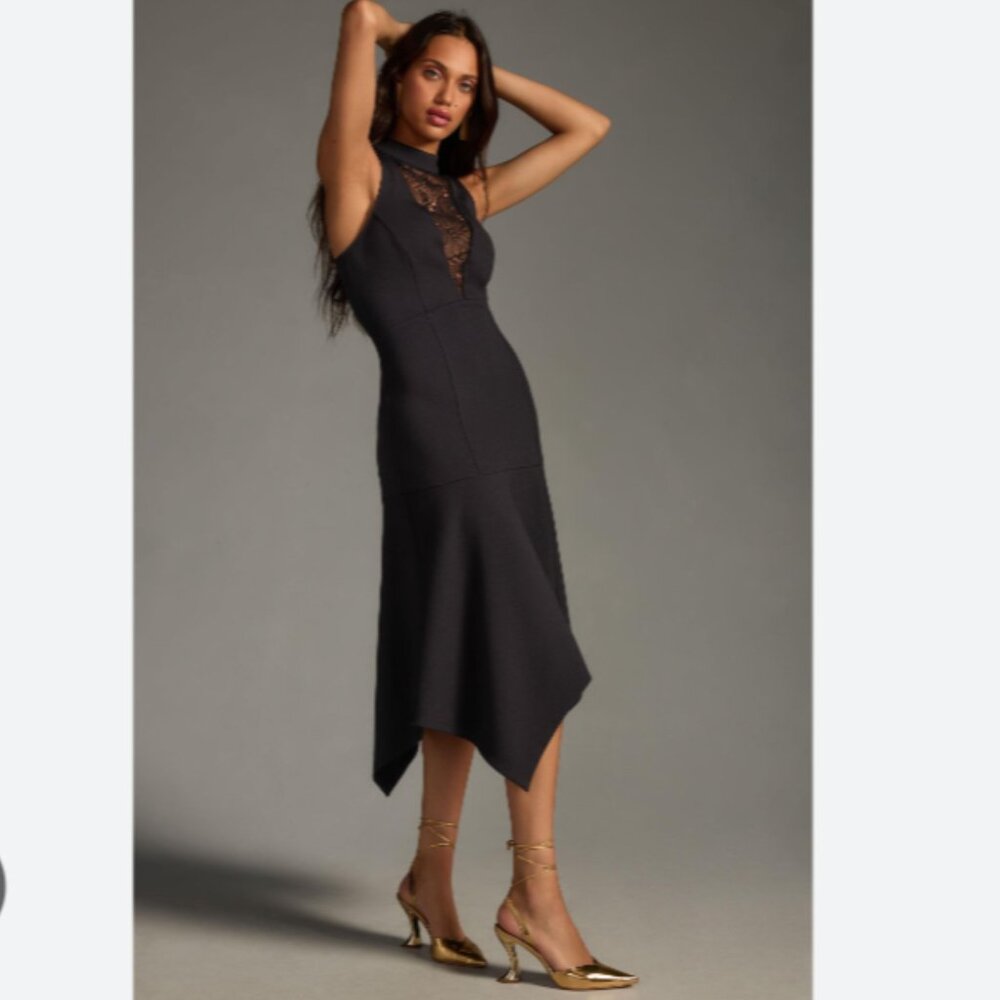 Brand New By Anthropologie Mock-Neck Lace-Inset Fit & Flare Dress